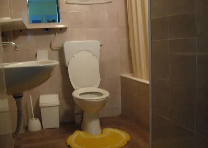 In With Terrace, Air Conditioning, Wifi 4208-1 Apartmán Novi Vinodolski