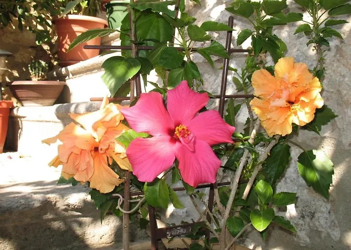 In With Terrace, Air Conditioning, Wifi 4208-1 Нови-Винодолски